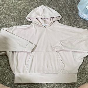 American Eagle Outfitters Velour Hoodie